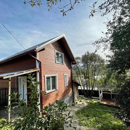Карпатський Котедж Karpatian Cottage Vorokhta Dış mekan fotoğraf
