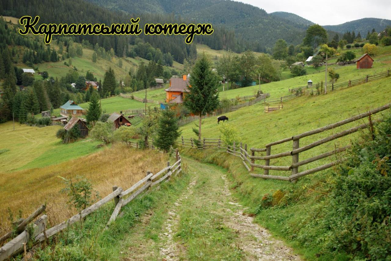 Карпатський Котедж Karpatian Cottage Vorokhta Dış mekan fotoğraf