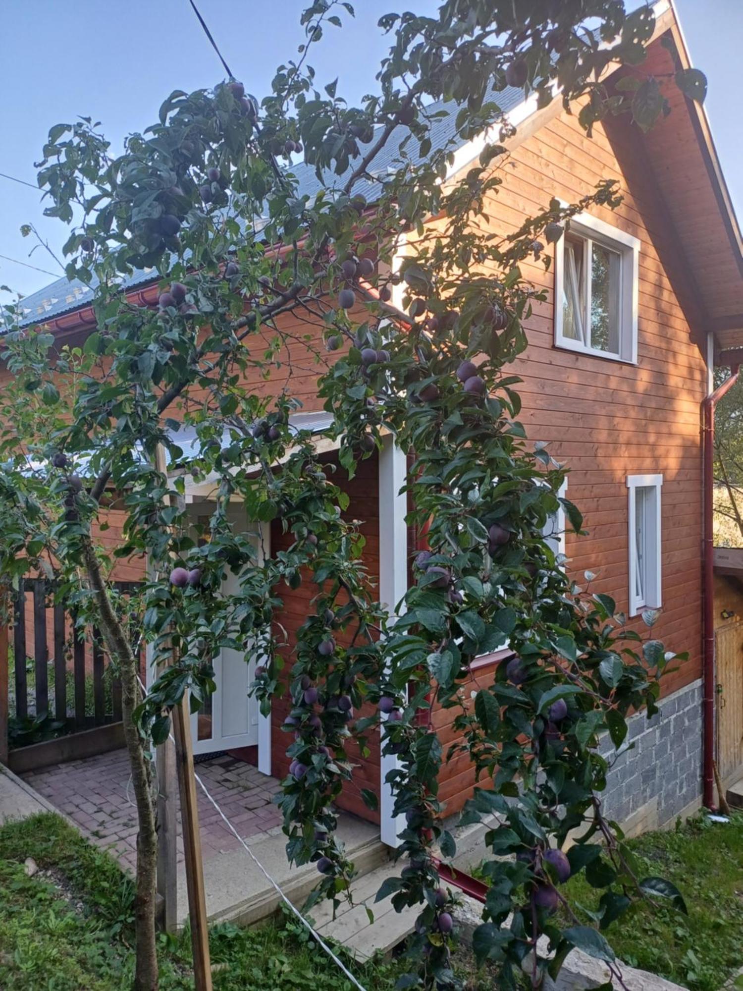 Карпатський Котедж Karpatian Cottage Vorokhta Dış mekan fotoğraf